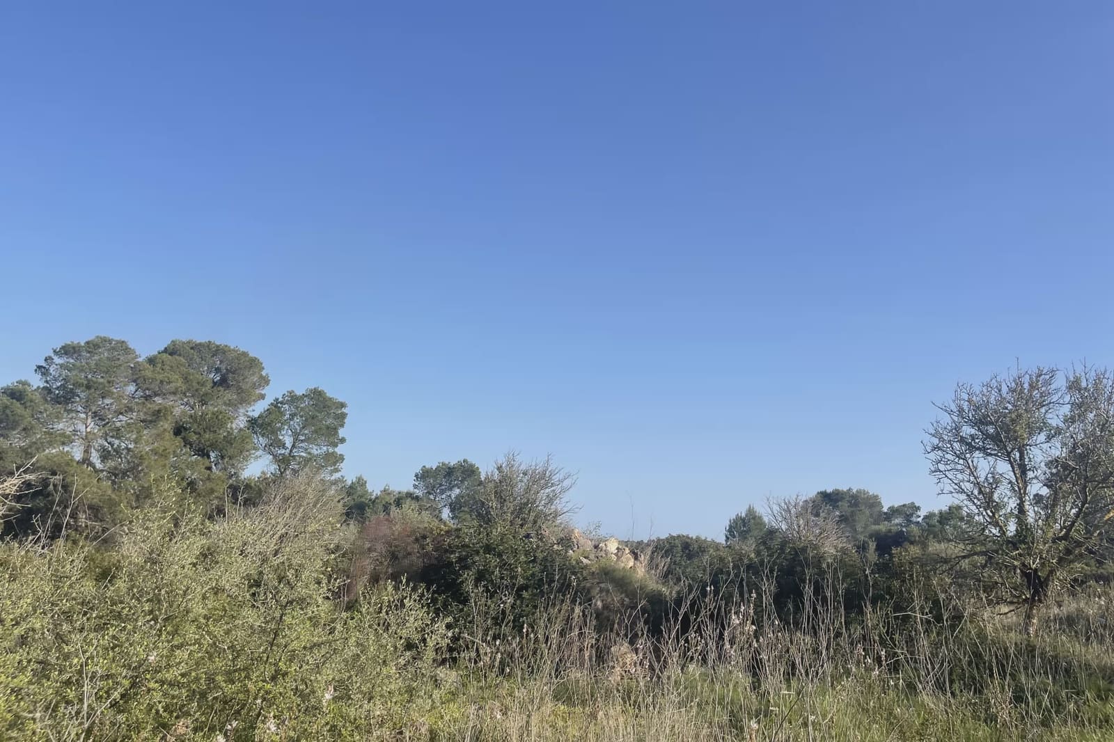 Grond te koop in Son Carrio - € 420.000 (Ref: 9761271)