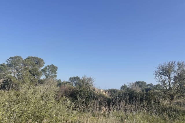 Teren niezagospodarowany na sprzedaż w Son Carrio, Sant Llorenç des Cardassar - 420 000 € (Ref: 9761271)
