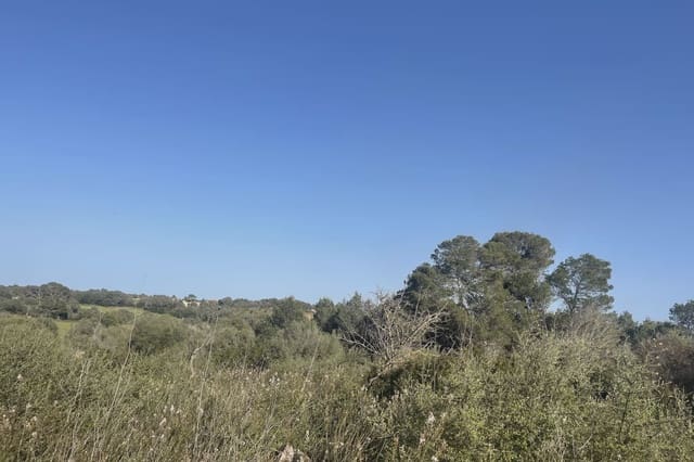 Teren niezagospodarowany na sprzedaż w Son Carrio, Sant Llorenç des Cardassar - 420 000 € (Ref: 9761271)