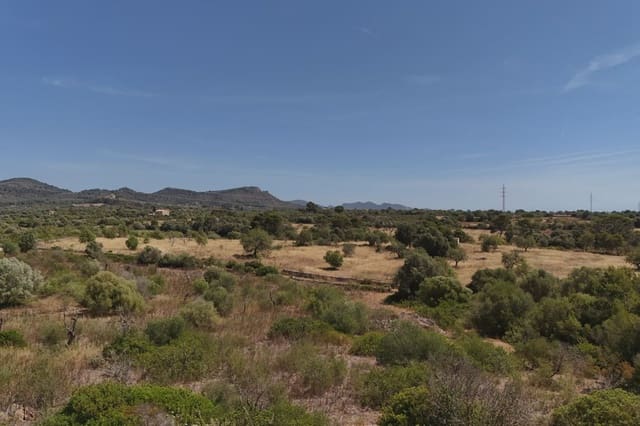 Undeveloped Land for sale in Son Carrio, Sant Llorenç des Cardassar - € 420,000 (Ref: 9761271)