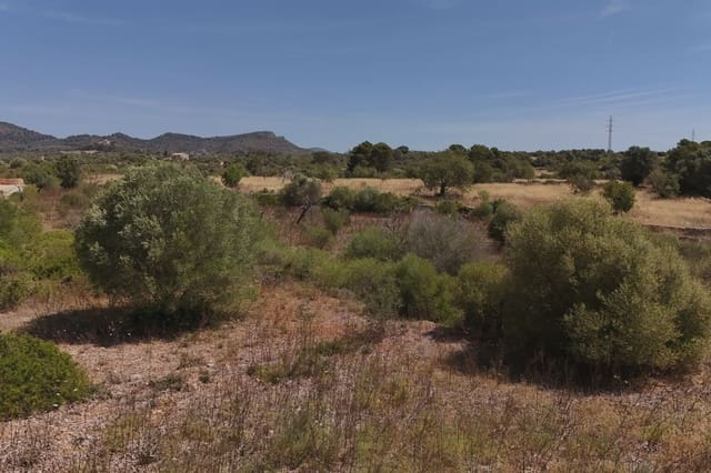Undeveloped Land for sale in Son Carrio, Sant Llorenç des Cardassar - € 420,000 (Ref: 9761271)