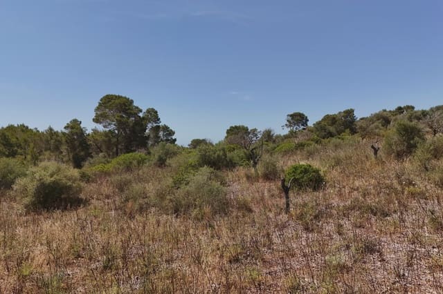 Undeveloped Land for sale in Son Carrio, Sant Llorenç des Cardassar - € 420,000 (Ref: 9761271)