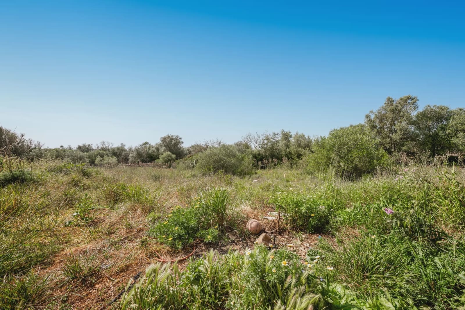 3 sovrum Finca/Hus på landet till salu i Felanitx med pool - 450 000 € (Ref: 9782100)