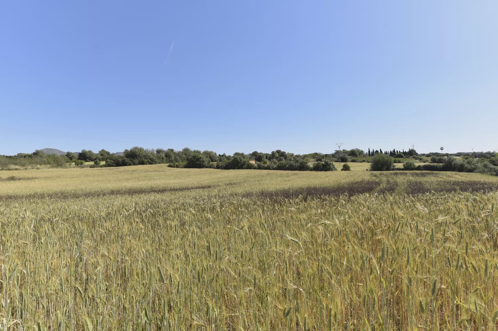 Grond te koop in Manacor - € 185.000 (Ref: 9841714)