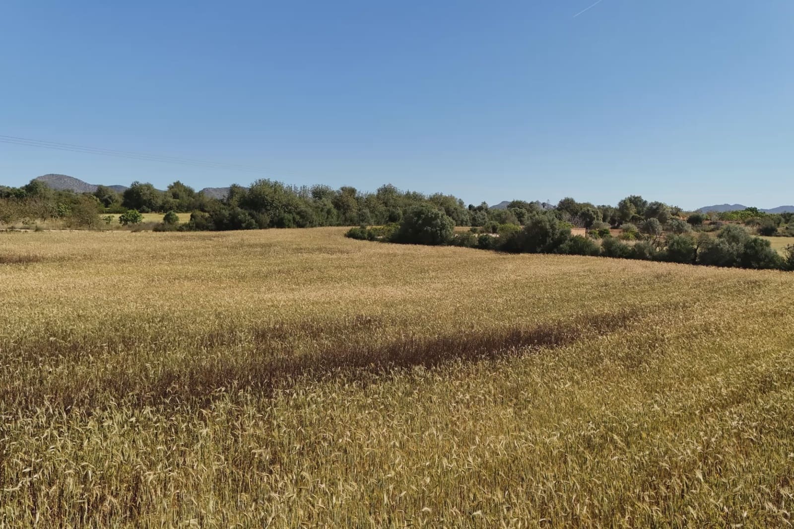Grond te koop in Manacor - € 185.000 (Ref: 9841714)
