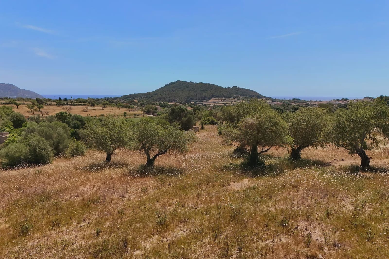 Grunde uden byggetilladelser til salg i Son Servera - € 420.000 (Ref: 9893066)
