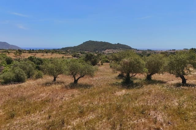 Grunde uden byggetilladelser til salg i Son Servera - € 420.000 (Ref: 9893066)