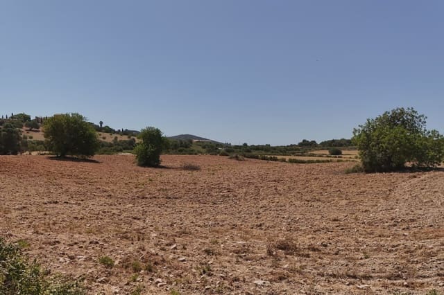 Ubebygd land til salgs i Sant Llorenç des Cardassar - € 240 000 (Ref: 9908777)