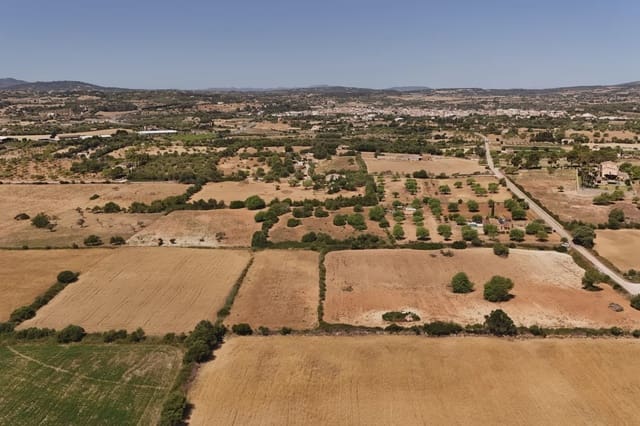 Ubebygd land til salgs i Sant Llorenç des Cardassar - € 240 000 (Ref: 9908777)
