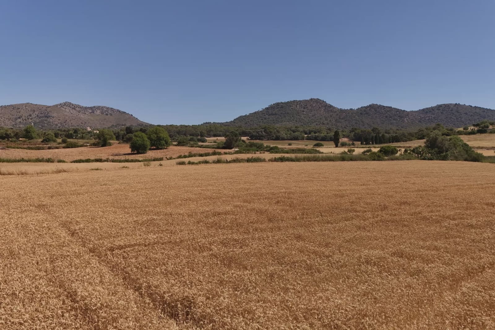 Ubebygd land til salgs i Sant Llorenc des Cardassar - € 240 000 (Ref: 9908777)
