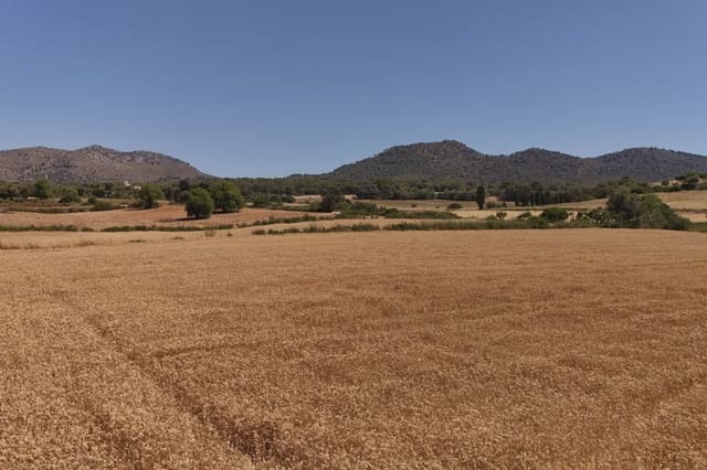 Ubebygd land til salgs i Sant Llorenç des Cardassar - € 240 000 (Ref: 9908777)