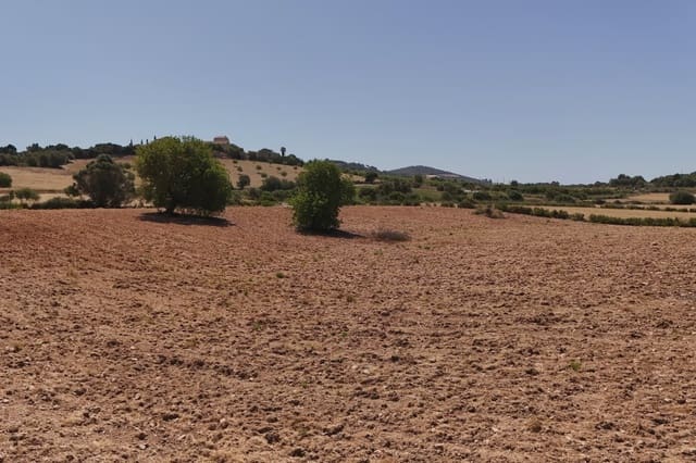Ubebygd land til salgs i Sant Llorenç des Cardassar - € 240 000 (Ref: 9908777)
