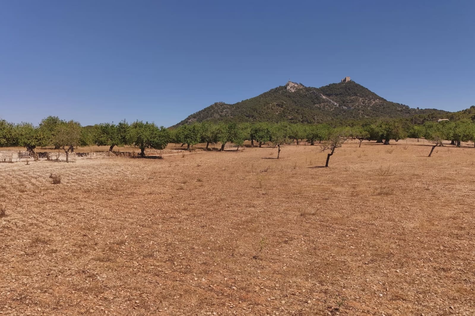 6 soveværelse Finca/Landehus til salg i Felanitx - € 1.095.000 (Ref: 9918981)
