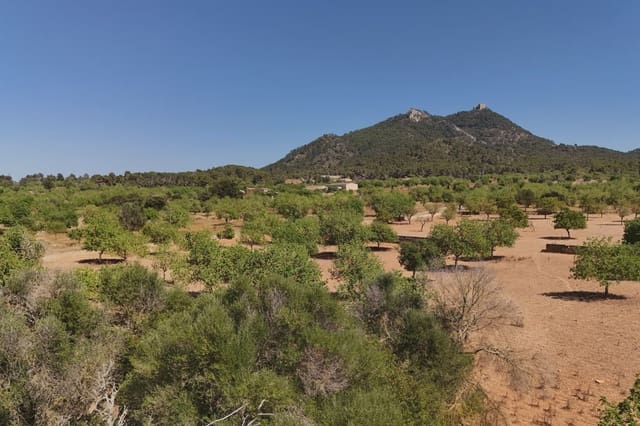 6 soveværelse Finca/Landehus til salg i Felanitx - € 1.095.000 (Ref: 9918981)