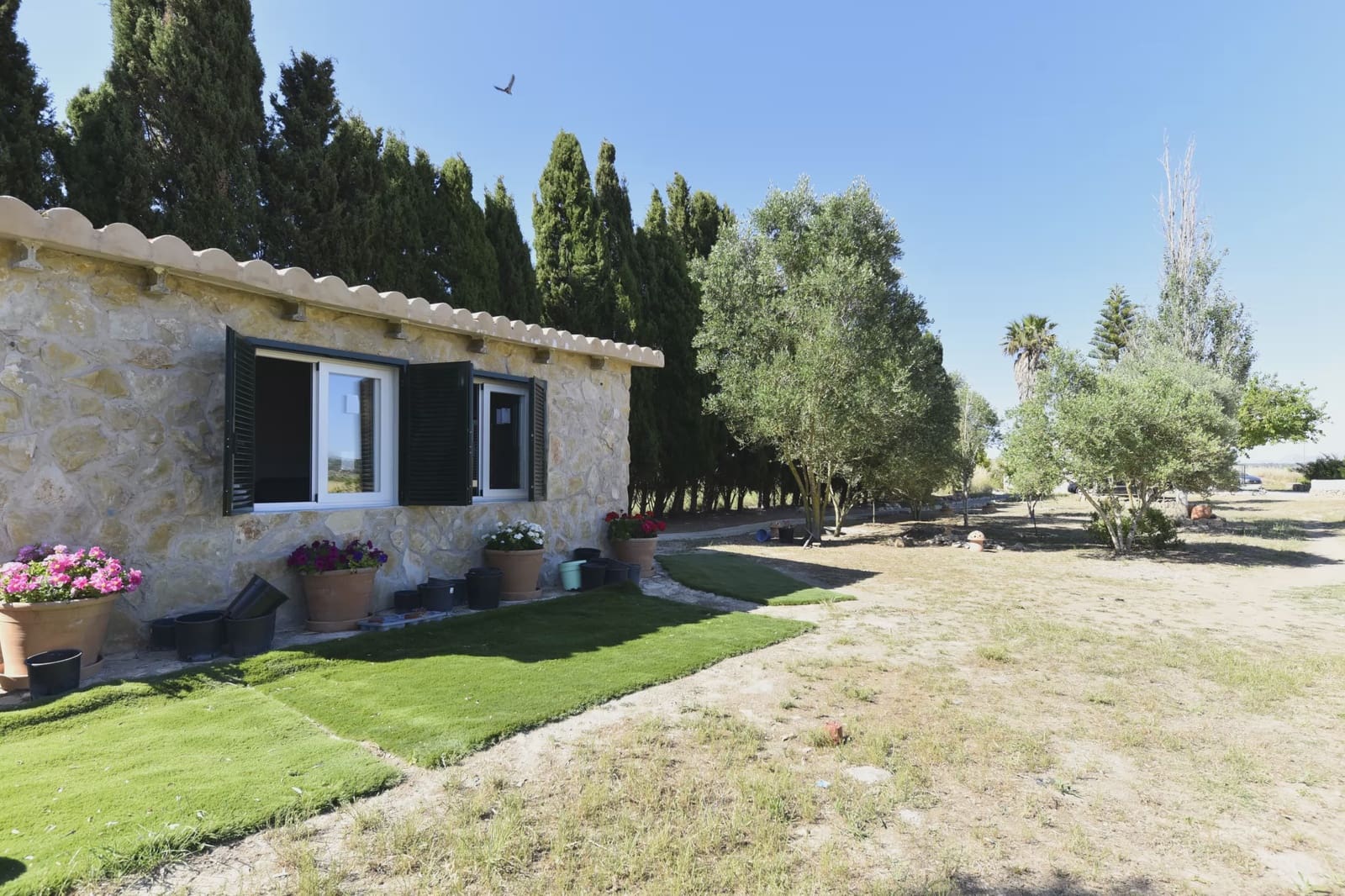 Finca/Maison de Campagne à vendre à Petra - 215 000 € (Ref: 9964501)
