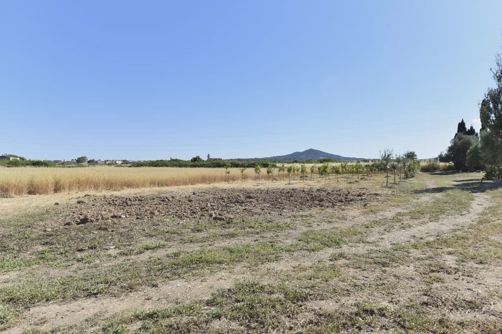 Finca/Maison de Campagne à vendre à Petra - 215 000 € (Ref: 9964501)