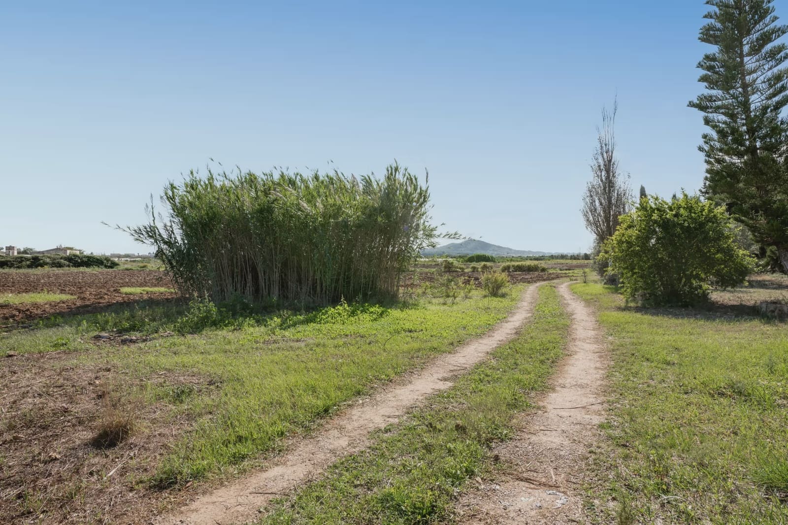Finca/Maison de Campagne à vendre à Petra - 215 000 € (Ref: 9964501)