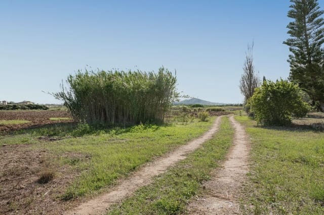 Finca/Maison de Campagne à vendre à Petra - 215 000 € (Ref: 9964501)