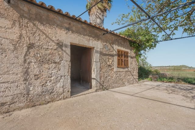 Finca/Maison de Campagne à vendre à Petra - 215 000 € (Ref: 9964501)