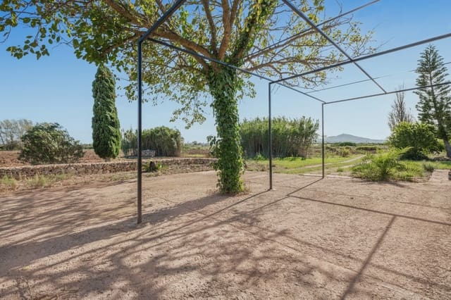 Finca/Maison de Campagne à vendre à Petra - 215 000 € (Ref: 9964501)