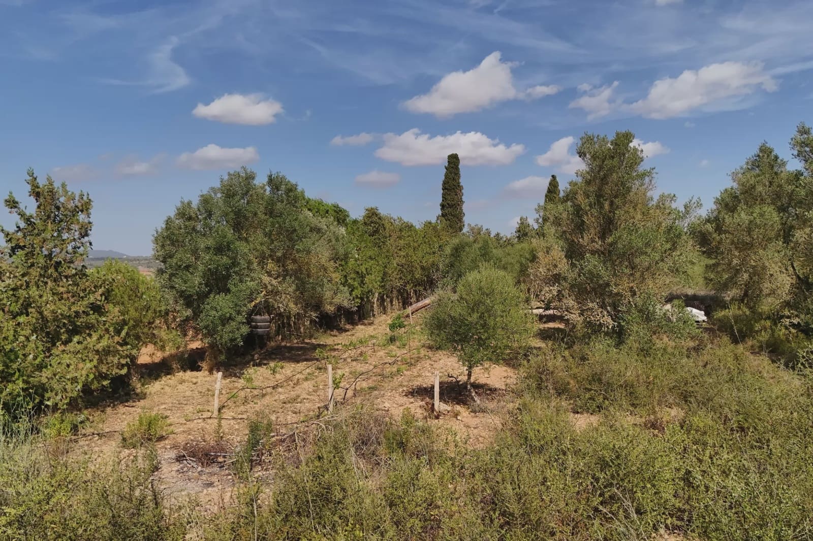 3 soverom Finca/Herregård til salgs i Manacor med svømmebasseng - € 169 000 (Ref: 9976139)