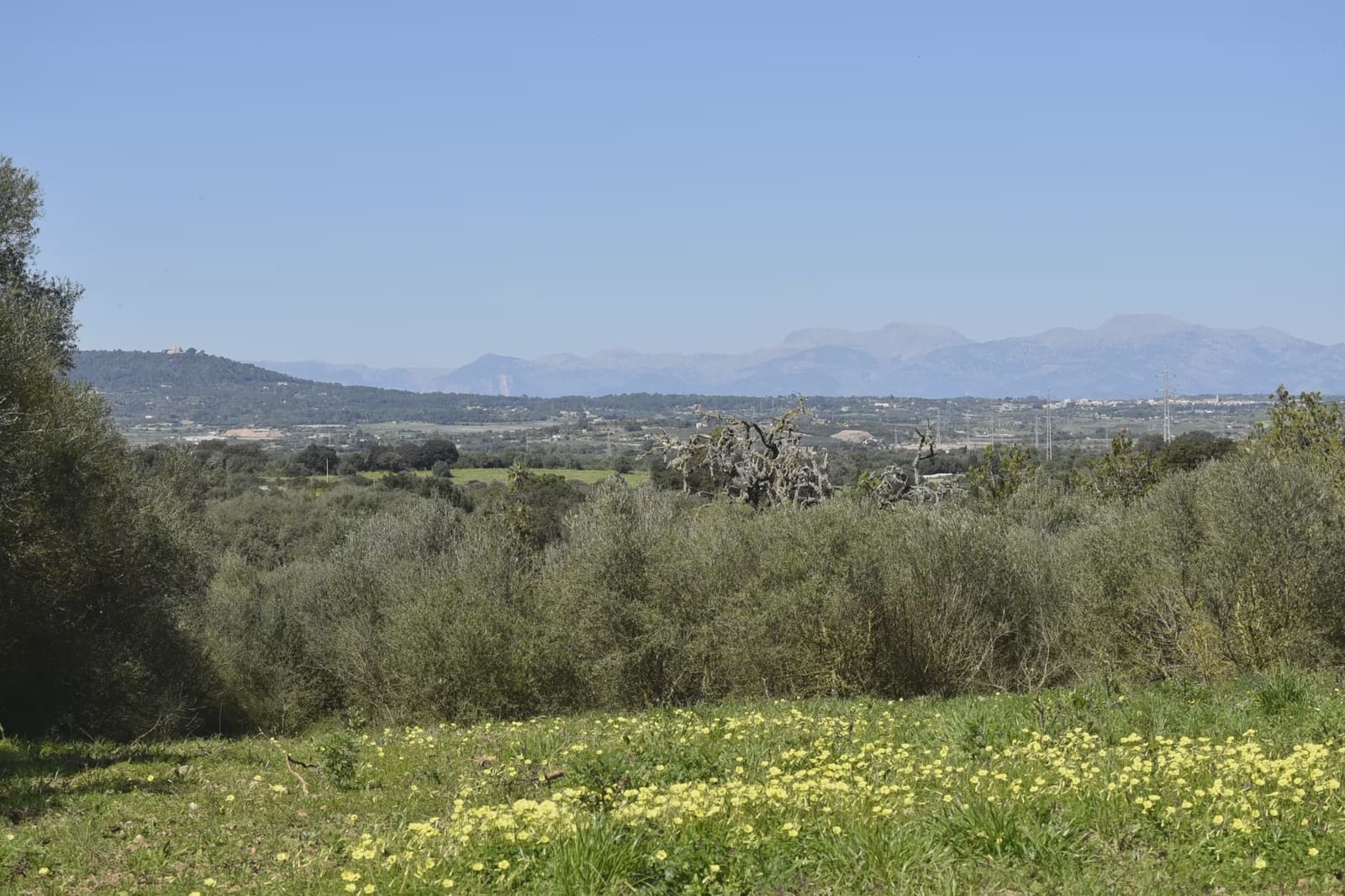 Finca/Herregård til salgs i Manacor - € 127 500 (Ref: 9991814)