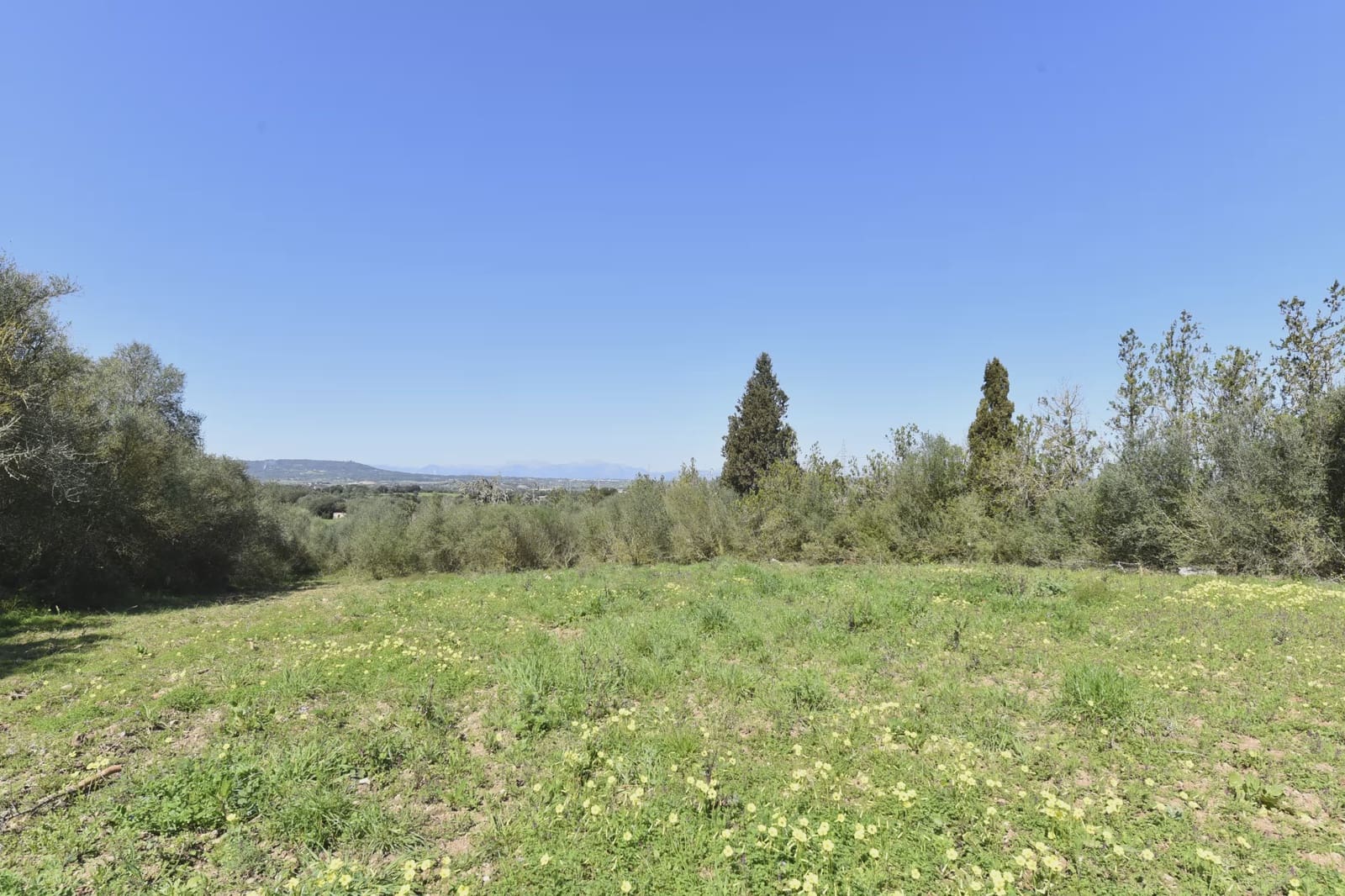 Finca/Herregård til salgs i Manacor - € 127 500 (Ref: 9991814)