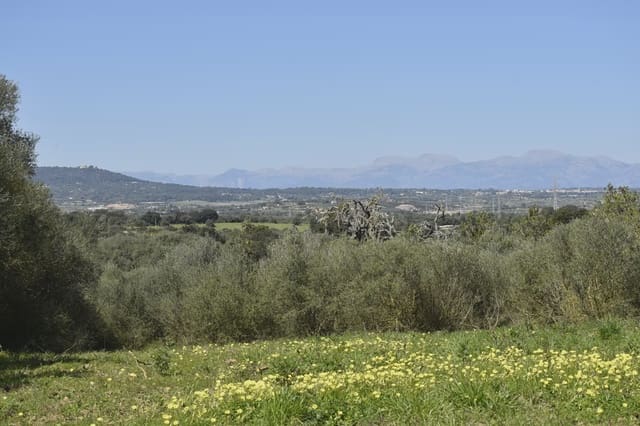 Finca/Herregård til salgs i Manacor - € 127 500 (Ref: 9991814)