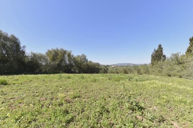 Finca/Herregård til salgs i Manacor - € 127 500 (Ref: 9991814)
