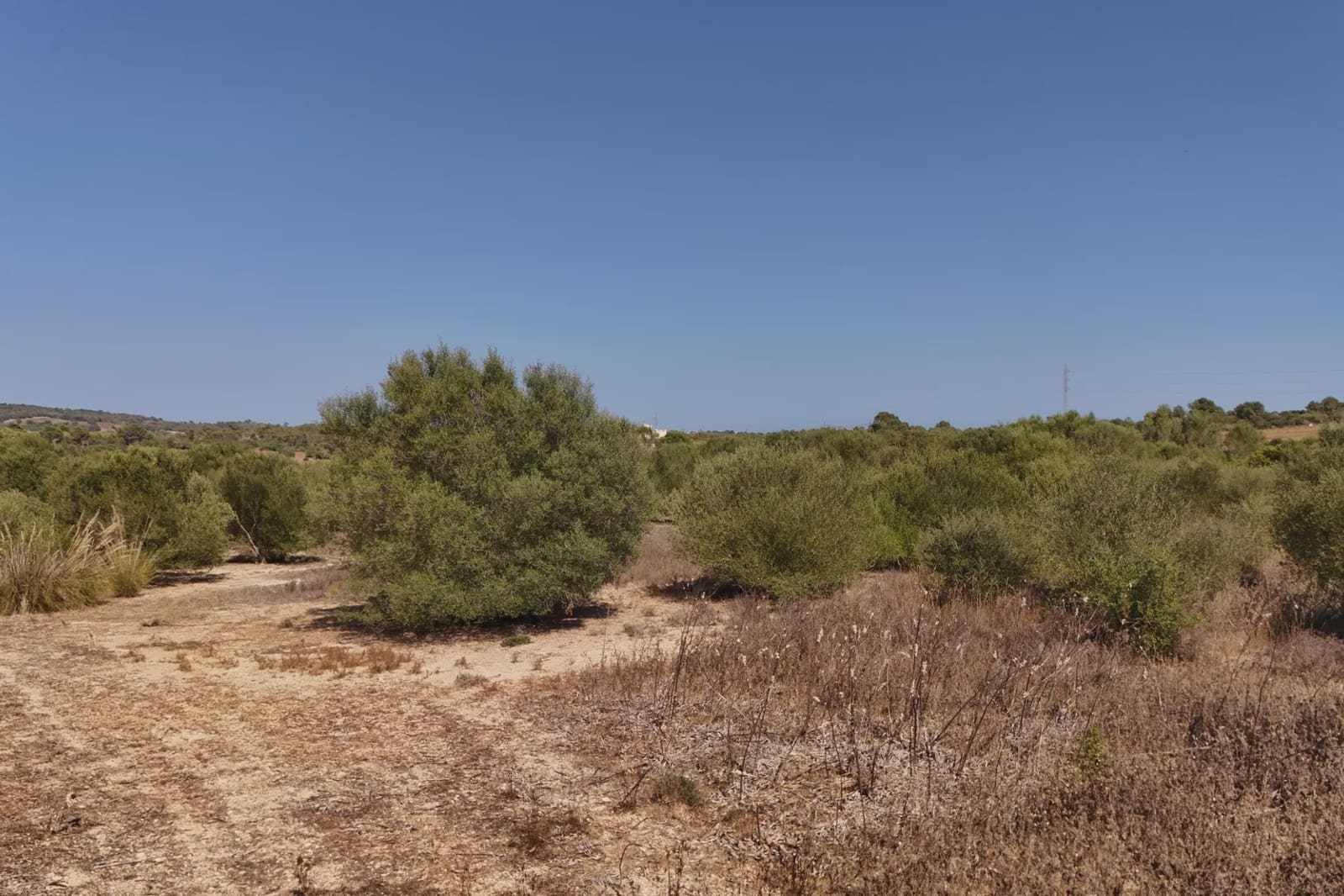 Terreno Non Edificato in vendita in Manacor - 307.000 € (Rif: 9996031)