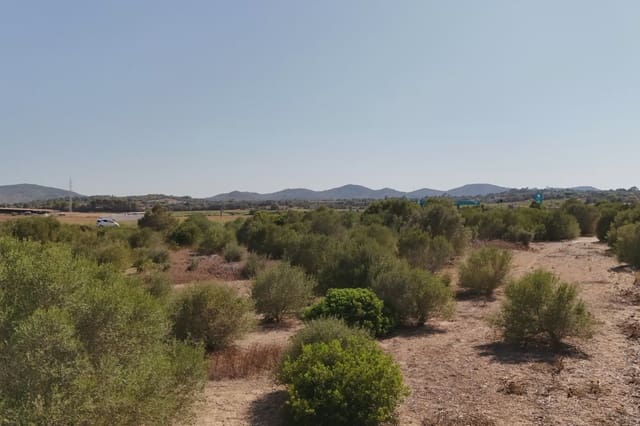 Terreno Non Edificato in vendita in Manacor - 307.000 € (Rif: 9996031)