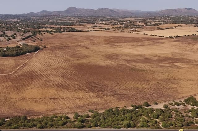 Terreno Non Edificato in vendita in Manacor - 307.000 € (Rif: 9996031)
