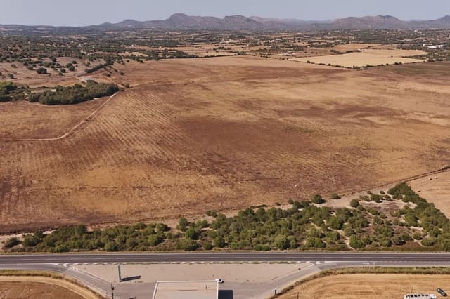 Terreno Non Edificato in vendita in Manacor - 307.000 € (Rif: 9996031)