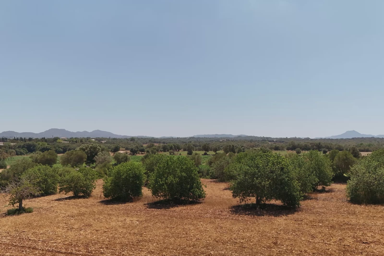 2 bedroom Finca/Country House for sale in Vilafranca de Bonany - € 220,000 (Ref: 9999022)