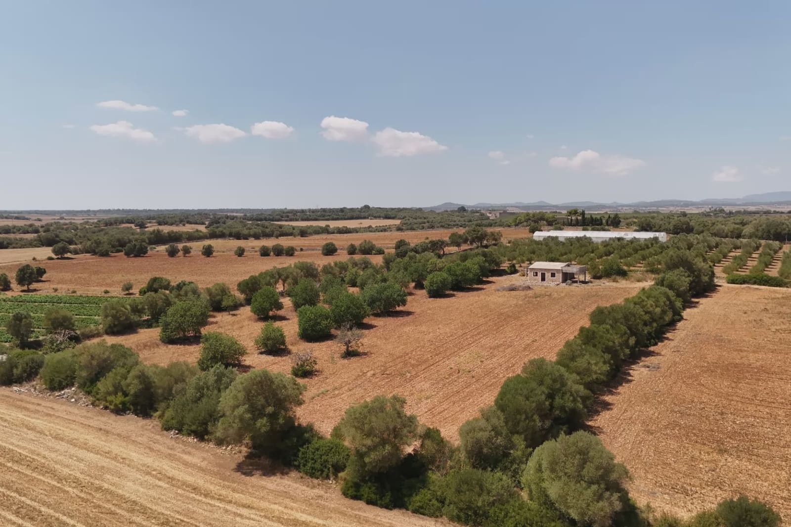 2 bedroom Finca/Country House for sale in Vilafranca de Bonany - € 220,000 (Ref: 9999022)