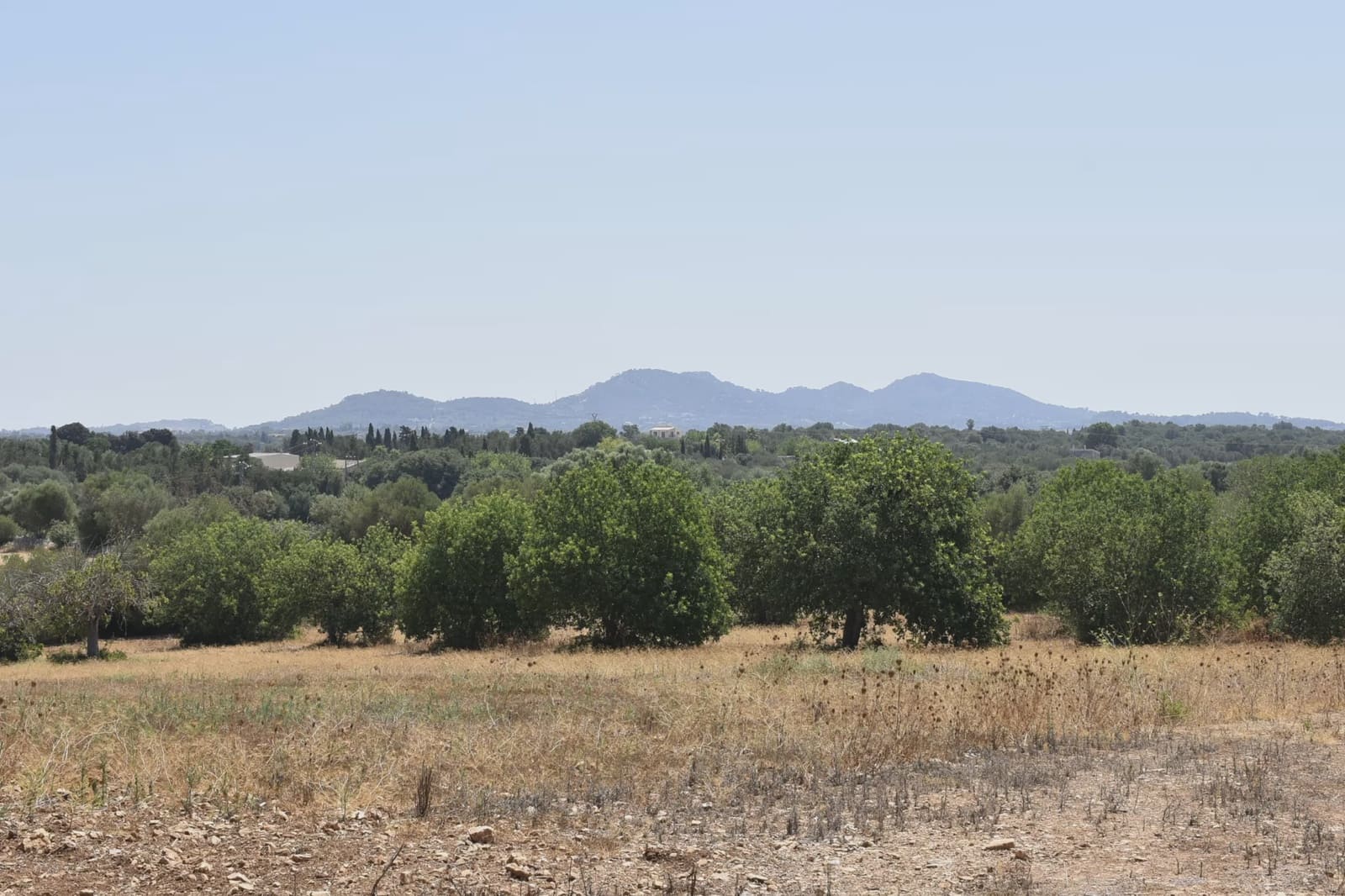 2 bedroom Finca/Country House for sale in Vilafranca de Bonany - € 220,000 (Ref: 9999022)