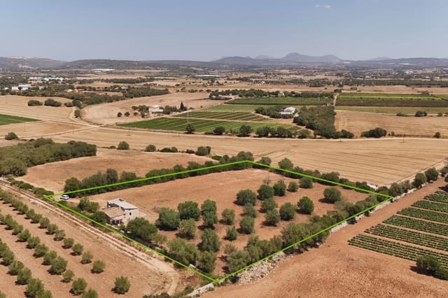 2 sovrum Finca/Hus på landet till salu i Vilafranca de Bonany - 220 000 € (Ref: 9999022)