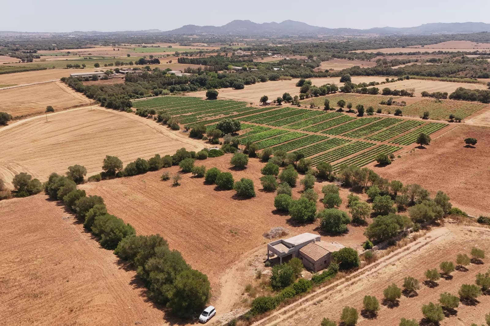 2 bedroom Finca/Country House for sale in Vilafranca de Bonany - € 220,000 (Ref: 9999022)