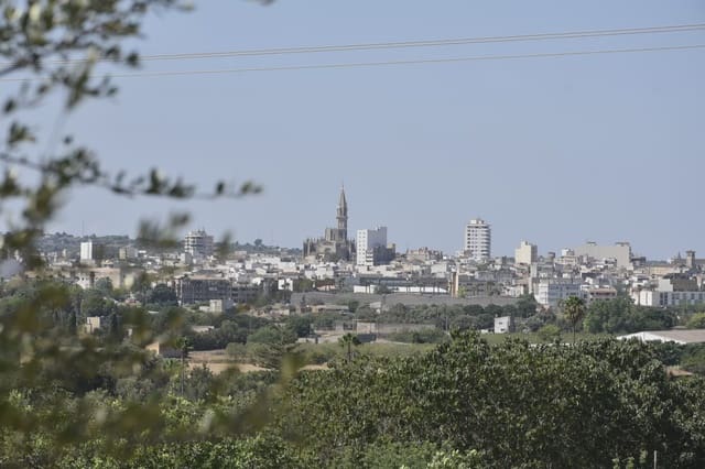 Finca/Casa Rural en Manacor en venta - 94.000 € (Ref: 9999023)
