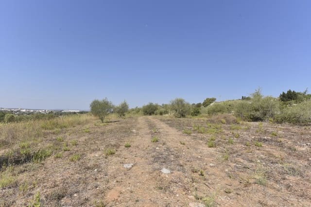 Finca/Casa Rural en Manacor en venta - 94.000 € (Ref: 9999023)