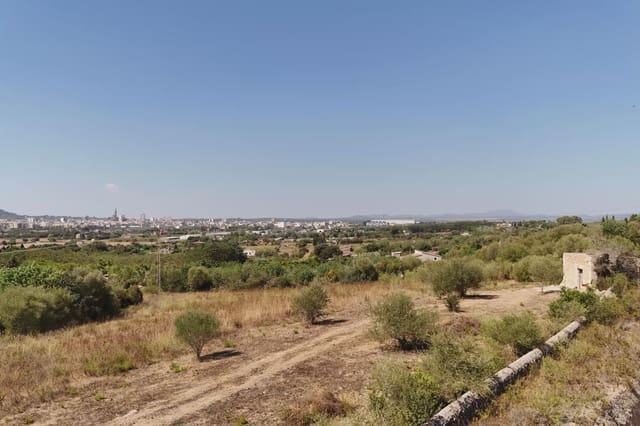 Finca/Casa Rural en Manacor en venta - 94.000 € (Ref: 9999023)