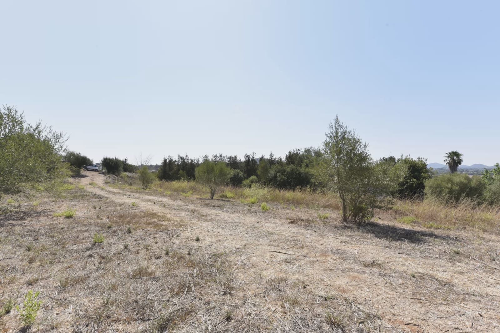 Finca/Landehus til salg i Manacor - € 94.000 (Ref: 9999023)