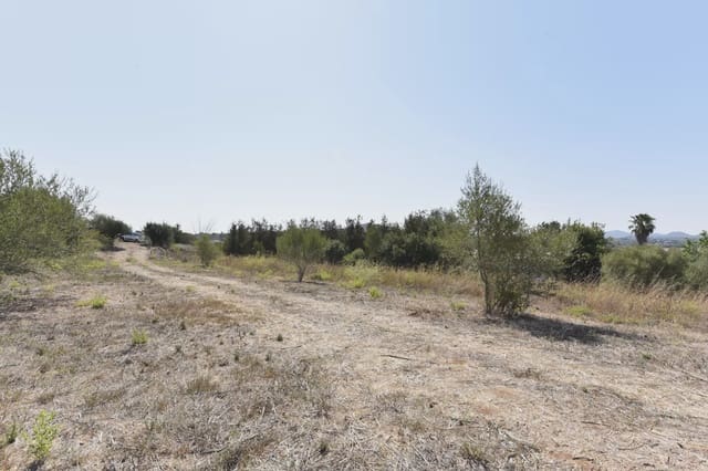 Finca/Casa Rural en Manacor en venta - 94.000 € (Ref: 9999023)