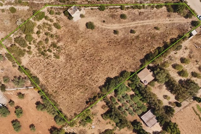 Finca/Casa Rural en Manacor en venta - 94.000 € (Ref: 9999023)