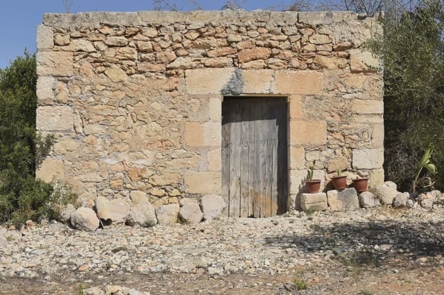 Finca/Casa Rural en Manacor en venta - 94.000 € (Ref: 9999023)