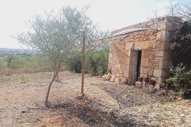 Finca/Country House for sale in Manacor - € 94,000 (Ref: 9999023)