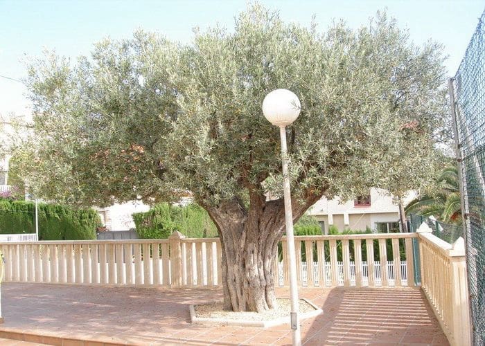 4 sypialnia Willa na sprzedaż w San Juan de Alicante / Sant Joan d'Alacant z basenem garażem - 1 750 000 € (Ref: 9897951)