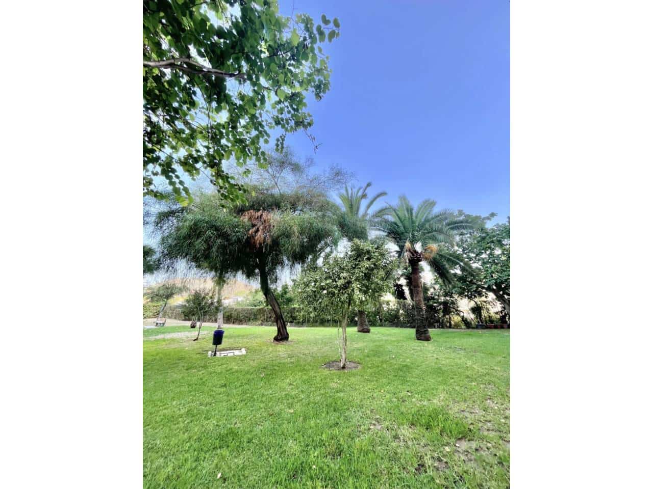 Flat te huur in Rincon de la Victoria met zwembad - € 750 (Ref: 10021851)