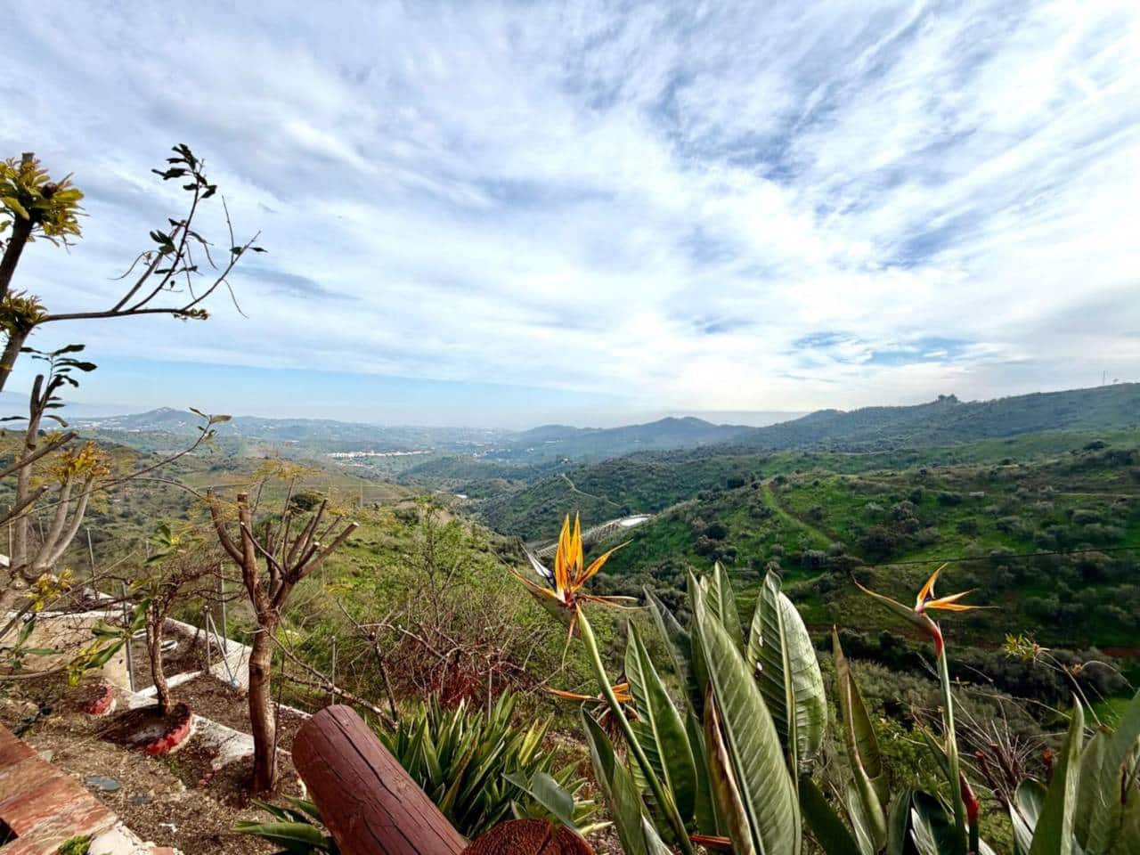 4 slaapkamer Finca/Landhuis te koop in Macharaviaya - € 320.000 (Ref: 9633699)