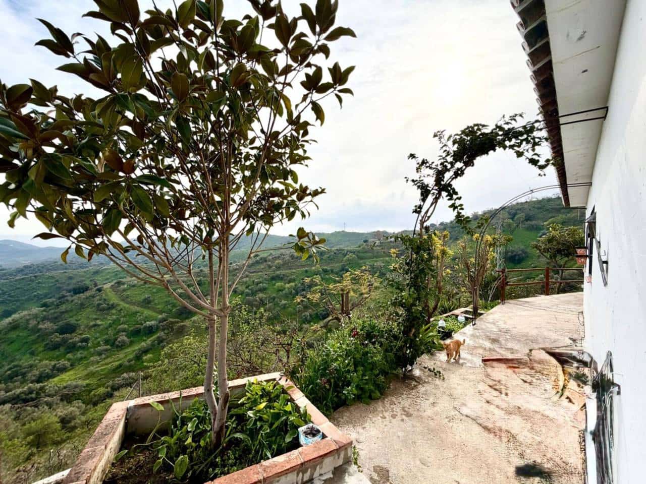 4 slaapkamer Finca/Landhuis te koop in Macharaviaya - € 320.000 (Ref: 9633699)